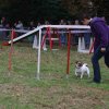 foire-haricots 2011-09-17et18